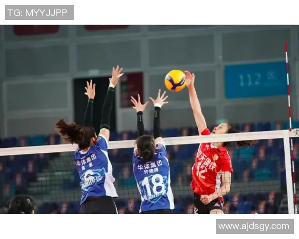 杭州排球队默契配合的关键因素与战术分析探讨 杭州排球队默契配合的关键因素与战术分析探讨